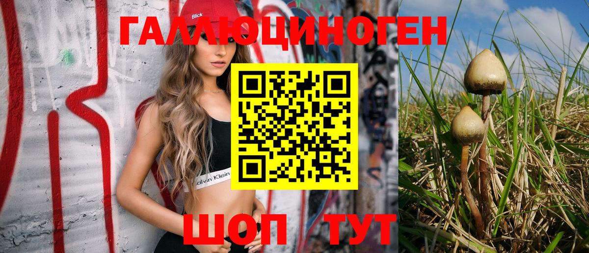 где можно купить наркотик  Псилоцибиновые грибы Cubensis  Вход с VPN  Реж 